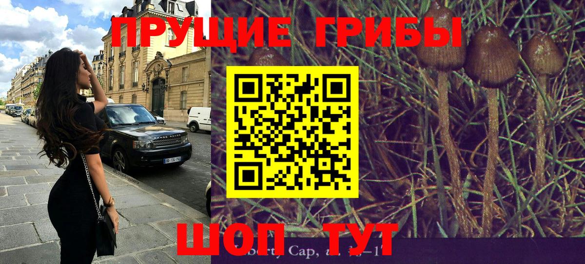 Артёмовский  Галлюциногенные грибы ЛСД  Вход с VPN 